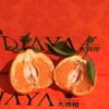 【会员15/斤】 探蜜熊大雅柑 商品缩略图0