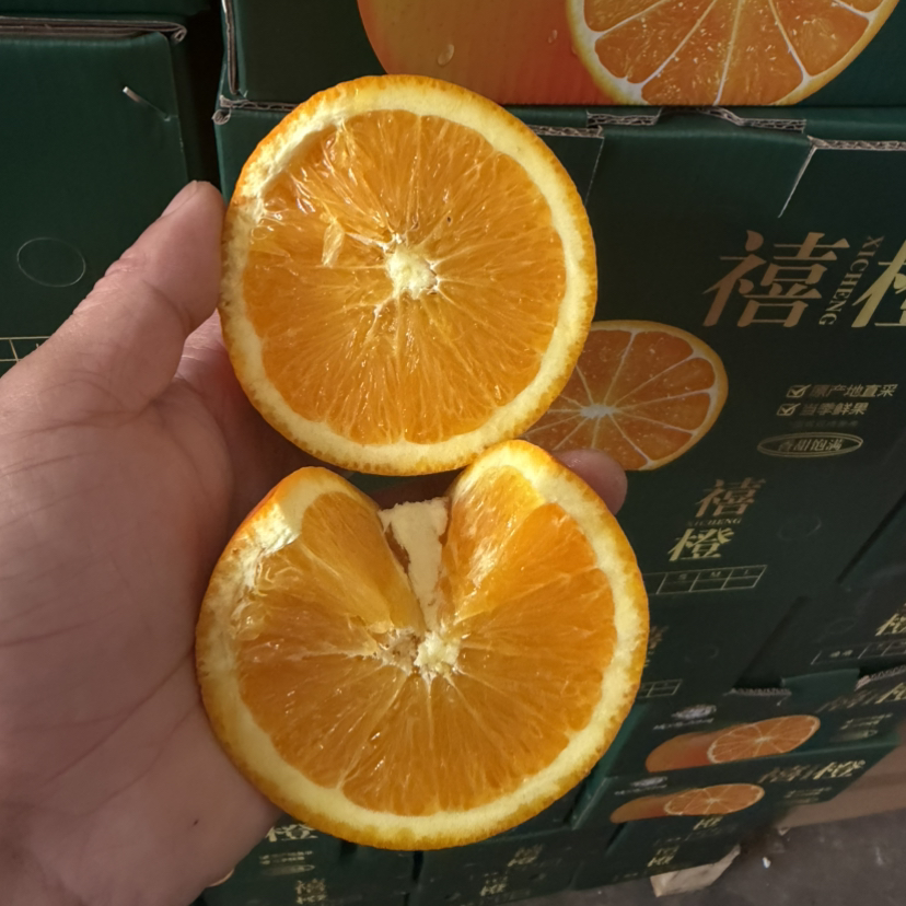 秭归禧橙🍊 纯甜多汁 橙味浓郁 大果 4斤净果19.9/件