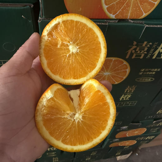 秭归禧橙🍊 纯甜多汁 橙味浓郁 大果 4斤净果19.9/件 商品图0