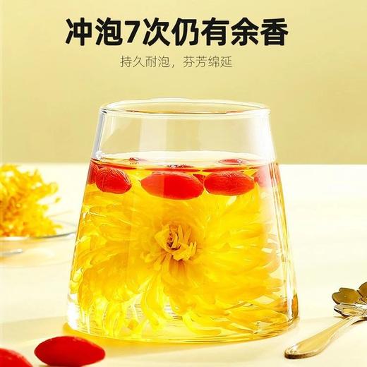 杞里香金丝皇菊  26Y04052- 商品图1