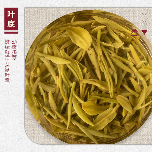 【山纯限品】（2026年绿茶）003洞庭碧螺春30g 商品图4