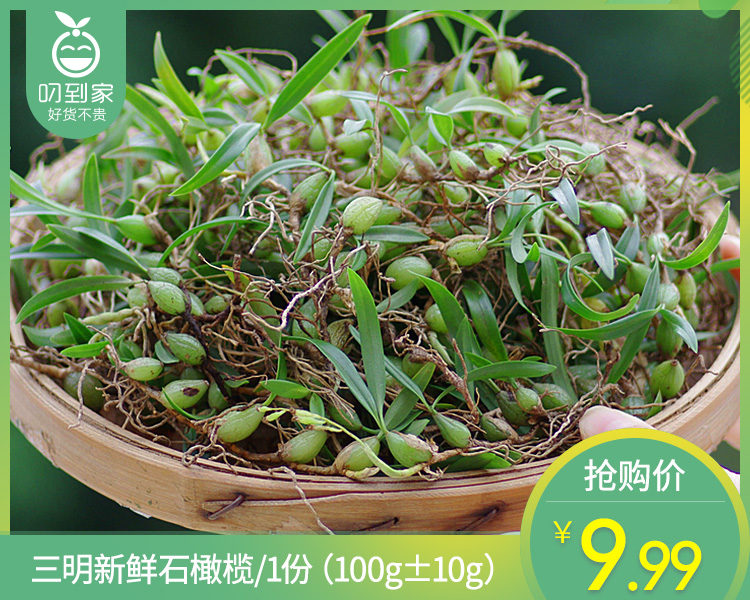 【叼鲜蔬】三明新鲜石橄榄/1份（100g±10g）