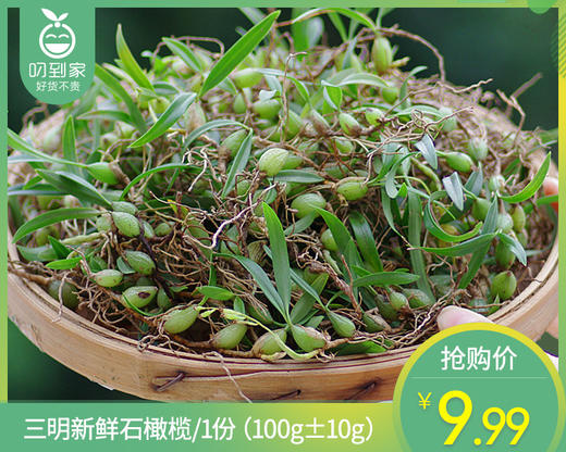 【叼鲜蔬】三明新鲜石橄榄/1份（100g±10g） 商品图0