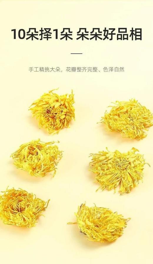杞里香金丝皇菊  26Y04052- 商品图3
