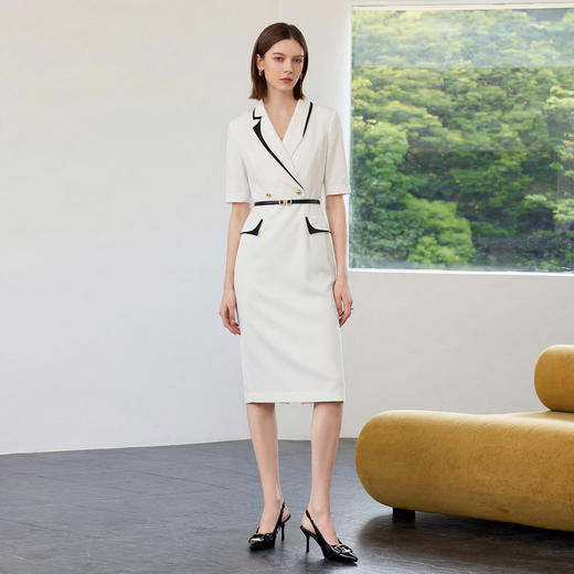 AD正式场合西装连衣裙女夏2026年新款高端大气上档次高知得体裙子 商品图2