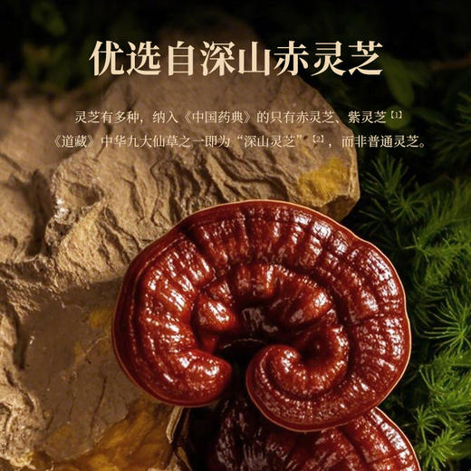 ⁵近效清【灵芝精】一瓶相当于32克鲜灵芝 原3299元 赤灵芝破壁粉剂 冲水喝 效期26年11月 一盒20瓶  YY05-TBT 商品图2