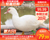 洛江山头水库散养210天白正番鸭母 (杀完带内脏2kg±100g/只） 商品缩略图0