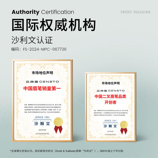 三资堂CENSTO二叉定位眉笔（植毛版） 商品图1