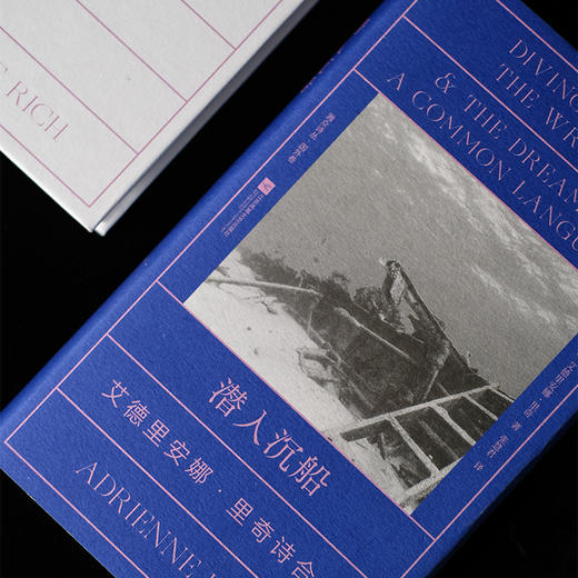 潜入沉船：艾德里安娜·里奇诗合集 商品图3