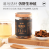 黄之皇长白山桑黄茶罐装50g 商品缩略图2