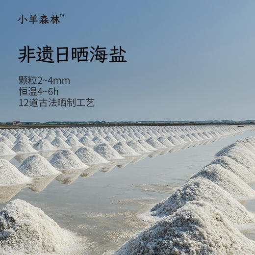 4月新品！「苍耳暖通披肩」为易敏鼻宝筑起一道温和的呼吸防线 商品图3