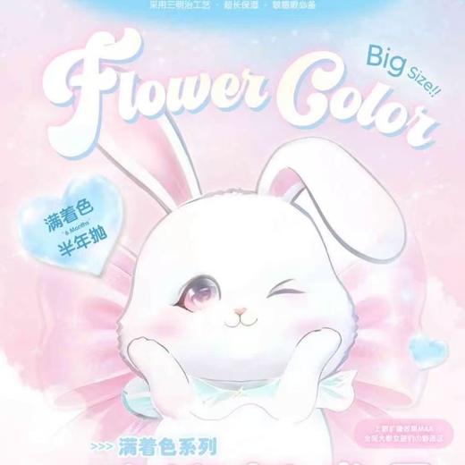 【套餐活动】FlowerColor半年抛满着色系列活动/半年抛 商品图0