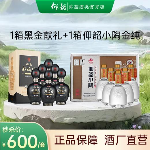 【黑金献礼金纯组合装】仰韶彩陶坊黑金献礼一箱 +小陶金纯一箱 到手整整两箱酒 口粮酒组合 商品图0