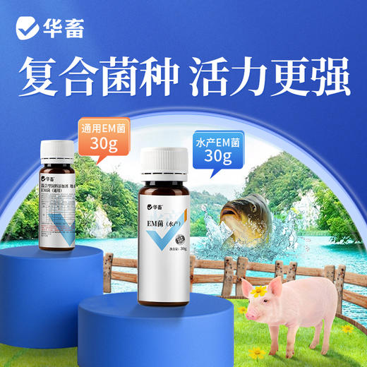 华畜水产em菌 可自行验证的好菌  菌群丰富活力强 商品图0