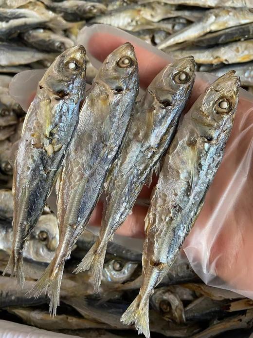 xm下饭神器！高蛋白，耐储存！家常必备巴浪鱼干，下酒、配粥、炒菜、零食，一包搞定！肉厚刺少，越嚼越香！ 商品图0