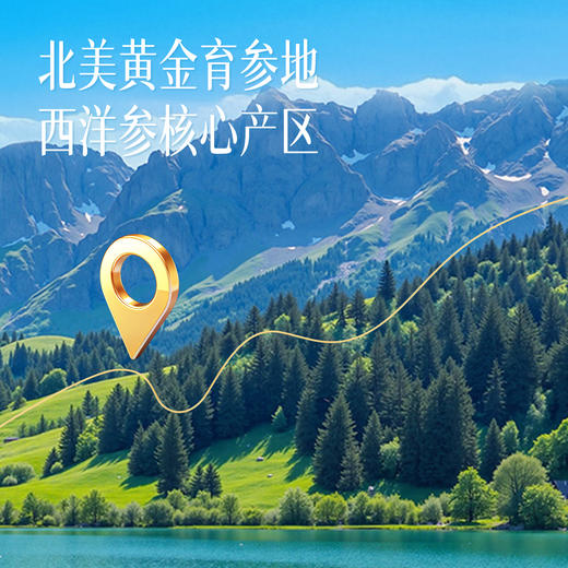 胡庆余堂  美国进口西洋参礼盒 商品图2