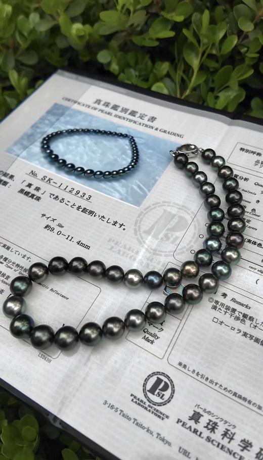 【日本溯源之旅】真科研大证南漂串珠9.0-11.4mm（展会产品拍下后不支持7天无理由退换货） 商品图1