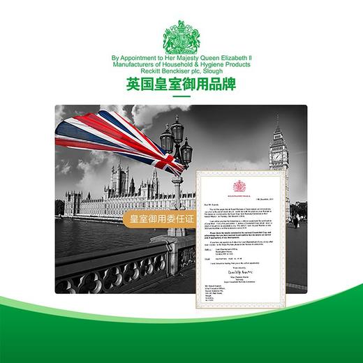 滴露 滋润倍护+经典松木抑菌洗手液 450g*2瓶/包 商品图4