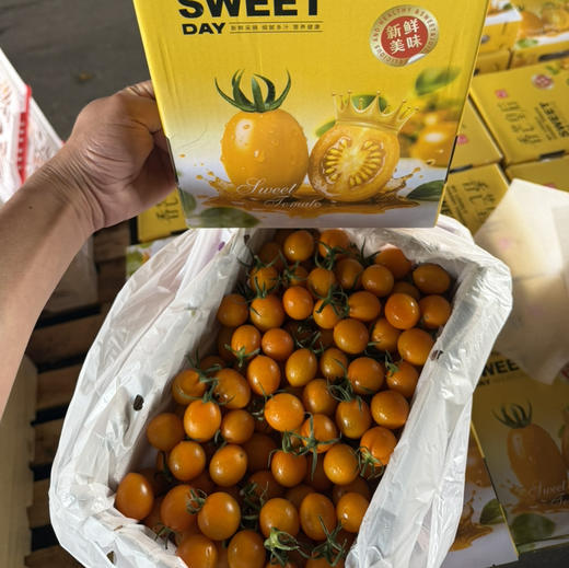 香芒皇后 千禧 小番茄 2号小果 口感好 推荐 15.8/斤 商品图2