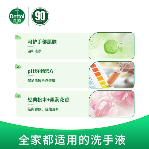 滴露 滋润倍护+经典松木抑菌洗手液 450g*2瓶/包 商品图3