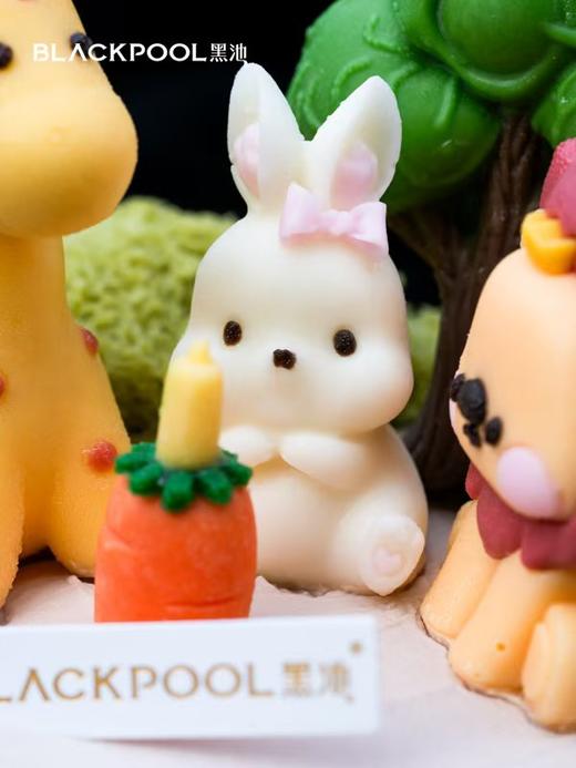 动物派对 |  黑池 商品图3