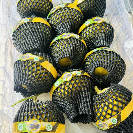 马连庄鎏金蜜瓜 商品图2