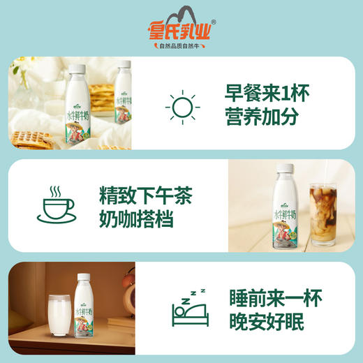 皇氏乳业水牛鲜牛奶 低温水牛鲜奶260ml*12瓶 4.0g蛋白质 顺丰包邮 商品图4