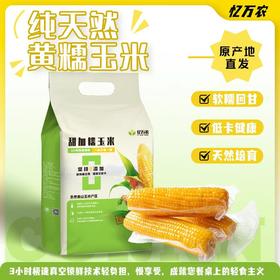 【福建高山水果糯玉米】 永泰高山育种 四季轮作种一季产一季鲜一季 