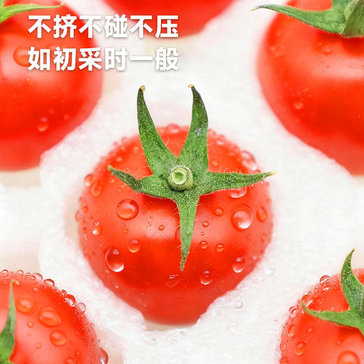高原七彩樱桃番茄（红黄双拼）甄选礼盒 商品图3