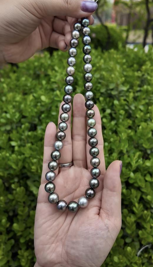 【日本溯源之旅】真科研大证黑蝶串珠8.7-10.8mm（展会产品拍下后不支持7天无理由退换货） 商品图2