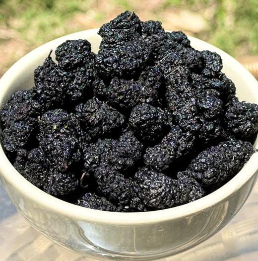 桑葚干160g/瓶 商品图3