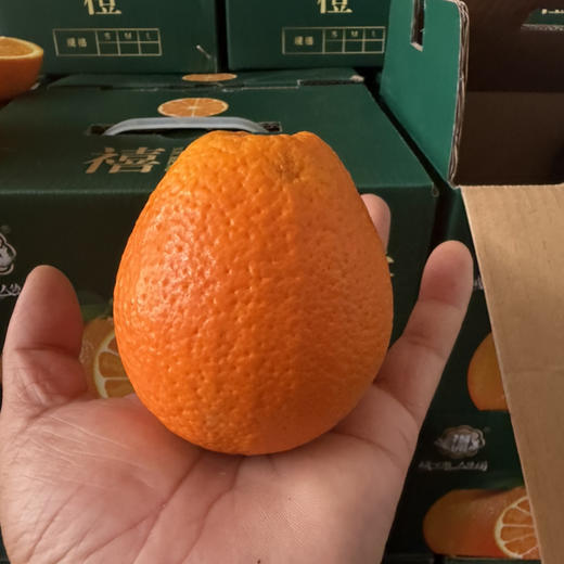 秭归禧橙🍊 纯甜多汁 橙味浓郁 大果 4斤净果19.9/件 商品图2