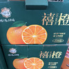 秭归禧橙🍊 纯甜多汁 橙味浓郁 大果 4斤净果19.9/件 商品缩略图1