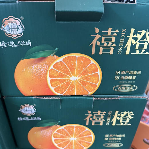 秭归禧橙🍊 纯甜多汁 橙味浓郁 大果 4斤净果19.9/件 商品图1