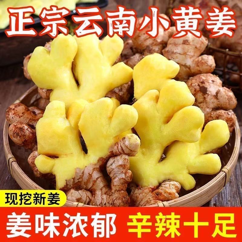 【超值❗️19.9抢5斤🔥云南小黄姜】现挖新姜，姜味浓郁，辛辣十足，浓郁芳香，做菜更鲜美！生姜沙姜鲜姜嫩姜芽仔新鲜子干姜