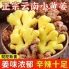 【超值❗️19.9抢5斤🔥云南小黄姜】现挖新姜，姜味浓郁，辛辣十足，浓郁芳香，做菜更鲜美！生姜沙姜鲜姜嫩姜芽仔新鲜子干姜 商品缩略图0