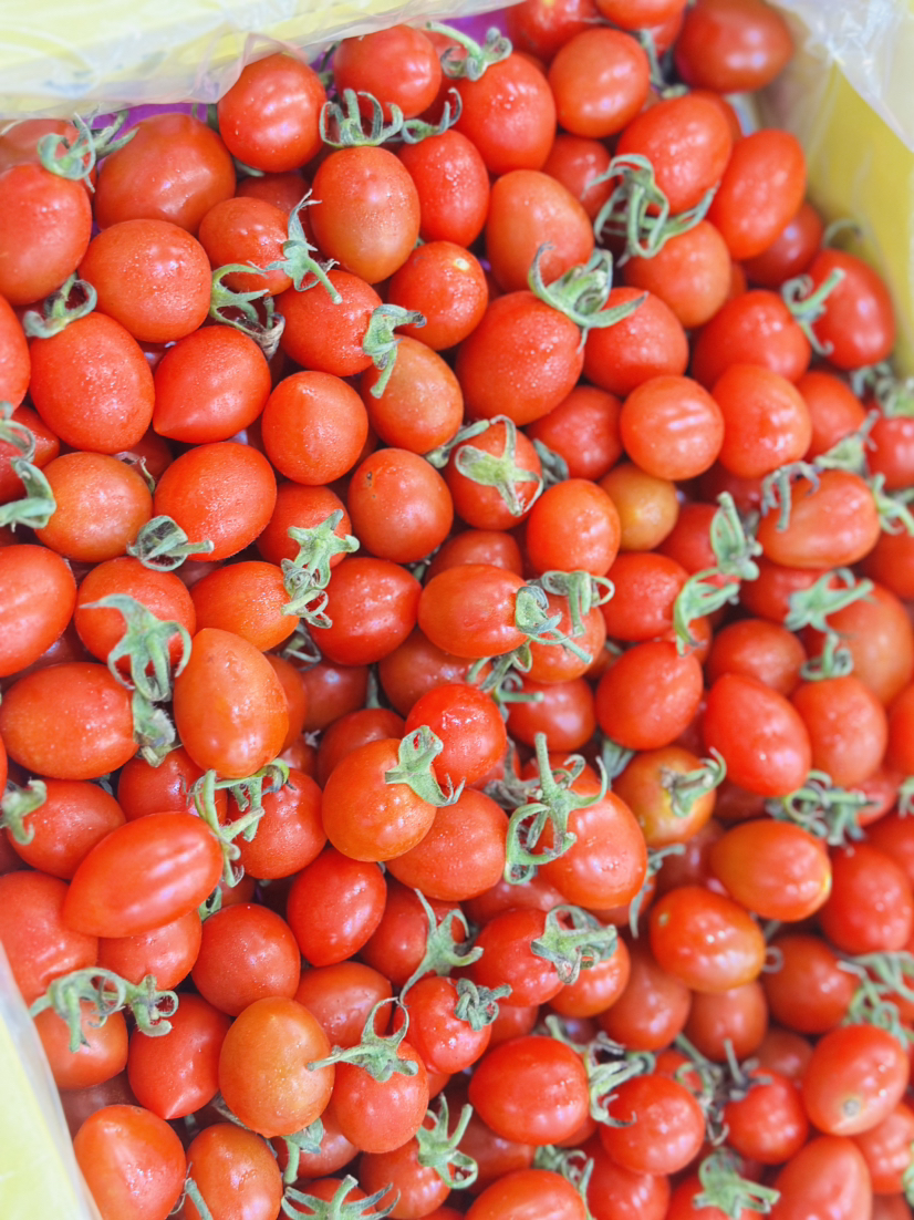 灯笼小番茄（散称19.8/斤称重补差 ）