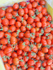 灯笼小番茄（散称19.8/斤称重补差 ） 商品缩略图0