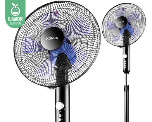 【预售-4月15日配送】NKA康佳落地扇（黑色）/1件 商品图4