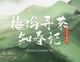 龙井茶主题研学 梅坞寻茶知春记