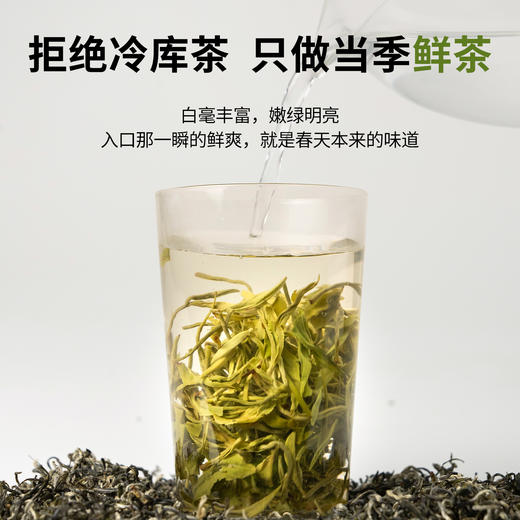 【魔造】2026年绿茶明前绿茶100g 商品图3