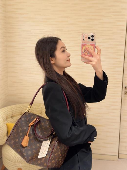 驴家 SPEEDY 30 SOFT CELEBRATION 手袋手提包枕头包 商品图4