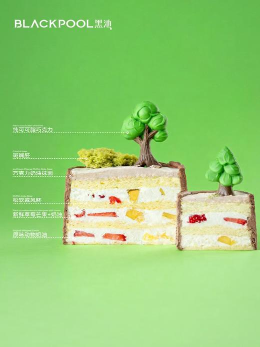 动物派对 |  黑池 商品图4