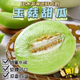 比冰淇淋还好吃的玉菇甜瓜！软糯香甜，4.5斤起送，快来尝鲜！✨