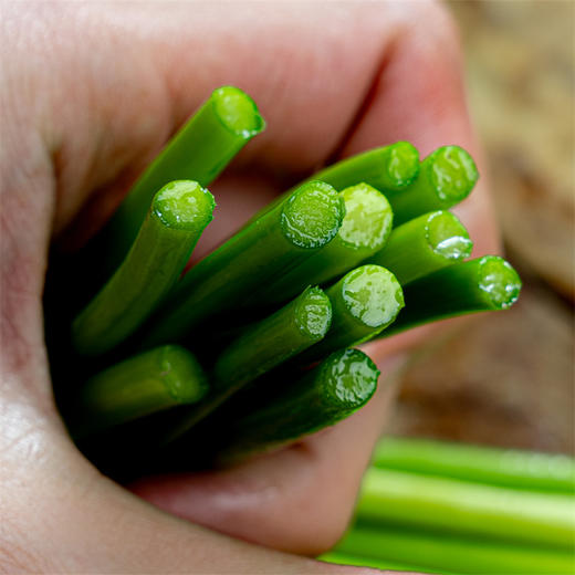 【新鲜红帽蒜薹】】现摘现发，质地脆嫩，品质味道远远高于冷库蒜薹 商品图2