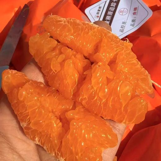 【会员15/斤】 探蜜熊大雅柑 商品图3