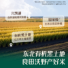 【内享汇】英氏采智有机胚芽米  245g（35g*7） 商品缩略图3