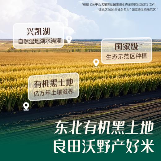【内享汇】英氏采智有机胚芽米  245g（35g*7） 商品图3