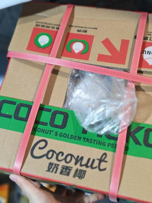 奶香椰皇（领秀店） 商品图0