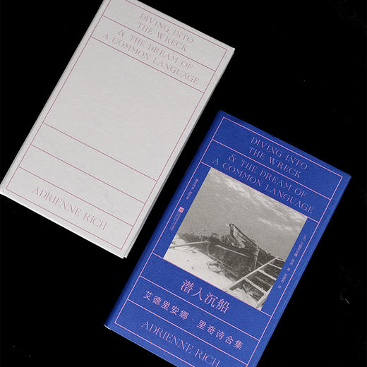 潜入沉船：艾德里安娜·里奇诗合集 商品图4